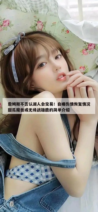 詹姆斯不否认湖人会交易！自曝伤情恢复情况甜瓜魔兽或无缘战雄鹿的简单介绍