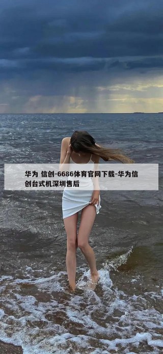 华为 信创-6686体育官网下载-华为信创台式机深圳售后