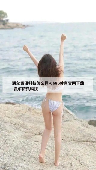 凯尔资讯科技怎么样-6686体育官网下载-凯尔资讯科技