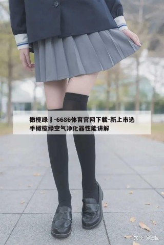 橄榄绿鹮-6686体育官网下载-新上市选手橄榄绿空气净化器性能讲解