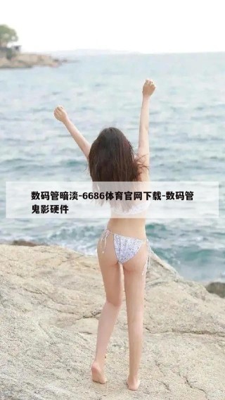 数码管暗淡-6686体育官网下载-数码管鬼影硬件