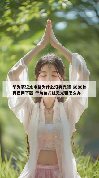 华为笔记本电脑为什么没有光驱-6686体育官网下载-华为台式机无光驱怎么办