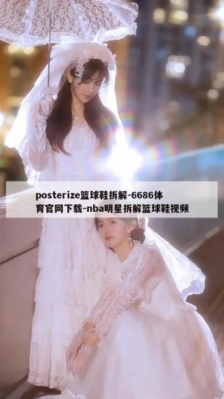 posterize篮球鞋拆解-6686体育官网下载-nba明星拆解篮球鞋视频