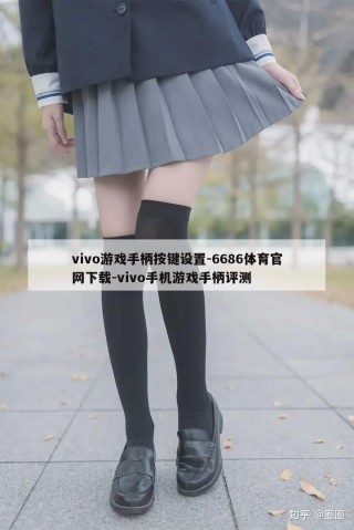 vivo游戏手柄按键设置-6686体育官网下载-vivo手机游戏手柄评测