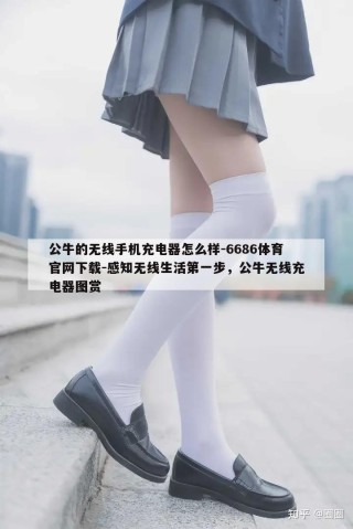 公牛的无线手机充电器怎么样-6686体育官网下载-感知无线生活第一步，公牛无线充电器图赏